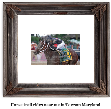 horse trail rides near me in Towson, Maryland